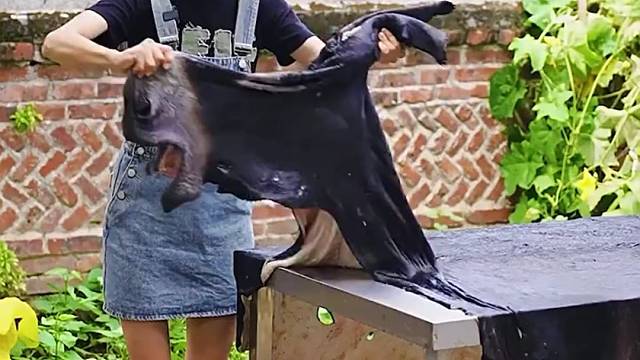 _愿所有远嫁的姑娘都能被温柔以待，谢谢婆婆