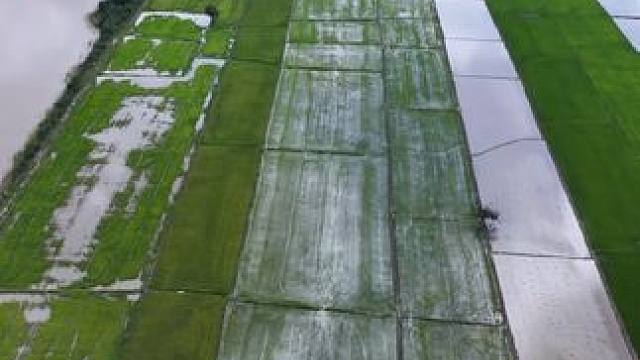 东南亚乡村生活 #我的乡村生活 #东南亚八面佛 #农村生活 #原始美味