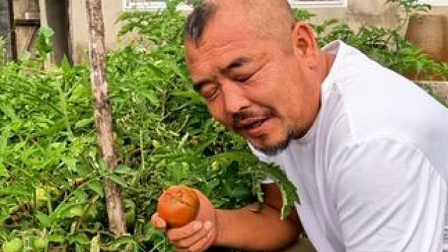 沙和尚来到二姨家蹭吃蹭喝，昨天喝太多了，今天不在状态#乡村味道 #农村美食 #农家菜 