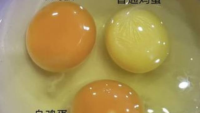 蛋品真的好#粮油米面