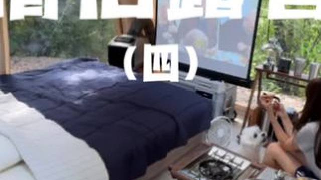 情侣露营（四）#露营 #户外露营 #助眠 #情侣 #萌宠