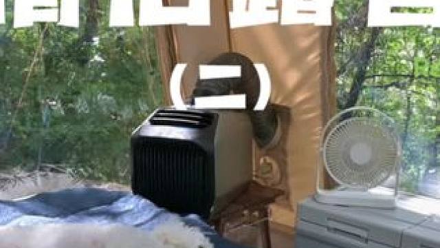 情侣露营（二）#露营 #户外露营 #助眠 #情侣 #萌宠