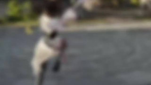 #永劫无间 #长枪 #长剑 #连招  怀旧