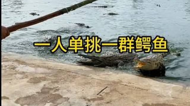 细品鳄鱼骨肽酒 感受健康韵味