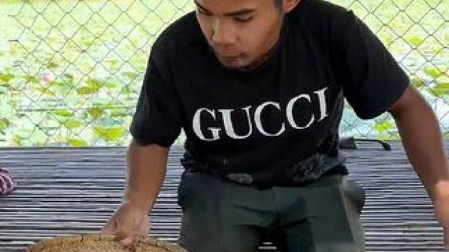 东南亚矮子 #东南亚八面佛 #我的乡村生活 #舌尖上的美食 #乡村新农人