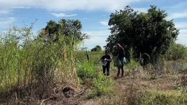 户外抓到很大的辣条 #东南亚八面佛 #农村生活 #户外抓辣条 #农村美食记录生活 #乡村新农人