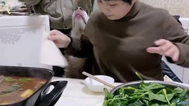 我发布了一个新视频，快来围观吧！