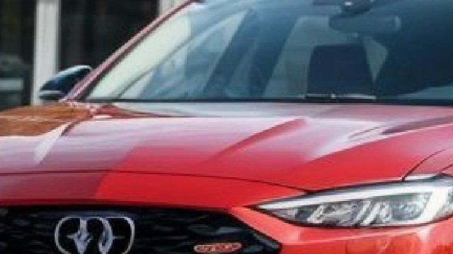 2024年上半年国内车企小结