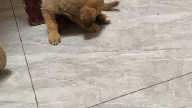 我发布了一个新视频，快来围观吧！