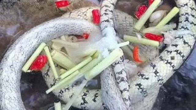 来来来来吃早餐咯 #我的乡村生活 #东南亚八面佛 #原始美味 #农村生活