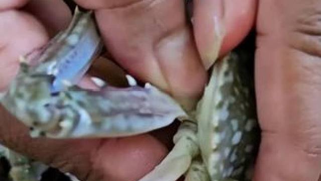 螃蟹沙拉 #我的乡村生活 #东南亚八面佛 #原始美味 #农村生活