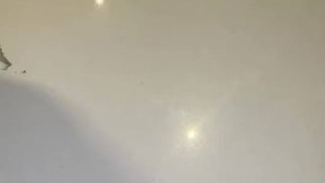 主页有我的世界手机版宝可梦 #我的世界