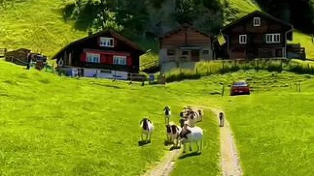 山不见我，我自去见山#瑞士 #治愈系风景 #走，带你去看沿途的风景 #身体和灵魂总有一个在路上