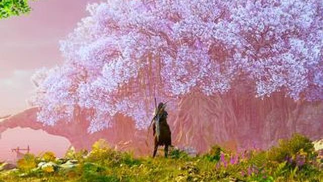 也许来时的路并不不好走，但愿走时一路平坦 #王权与自由 #MMORPG #4k超清