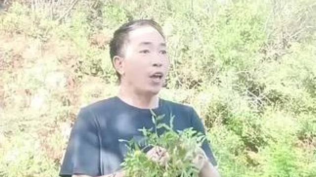 #大山里的风景空气就是好 #山上空气好