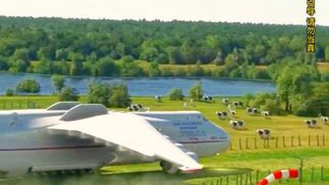 模拟器：一群鸟从飞机旁边飞过会怎么样？#飞机