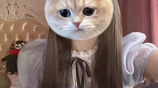 神摸 小猫会唱歌