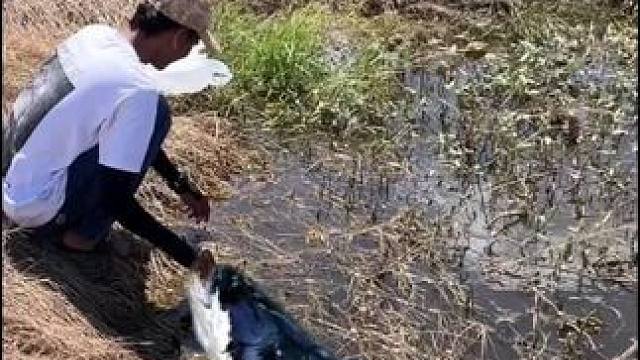 东南亚地包天来了 #东南亚八面佛 #我的乡村生活 #原始美味 #农村生活 #乡村新农人