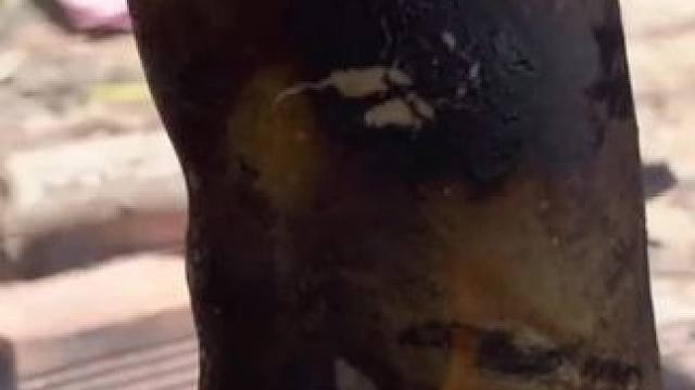 乡下食谱 #我的乡村生活 #原始美味 #农村生活 #舌尖上的美食 #乡村新农人