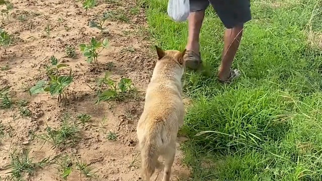 看完以后流泪了