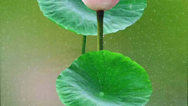 凡事欲其成功，必要付出代价：奋斗。发明的秘诀在不断的努力。业精于勤而荒于嬉，行成于思而毁于随。一个人