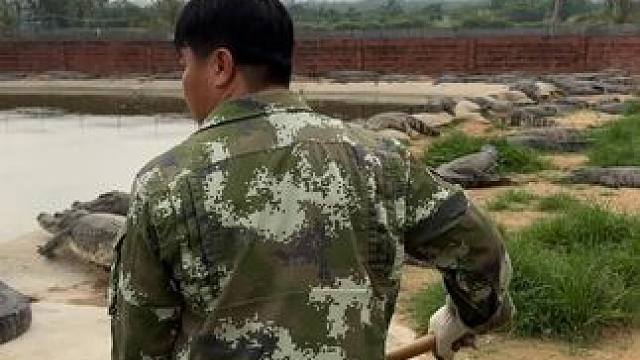 我发布了一个新视频，快来围观吧！