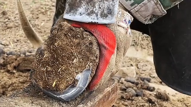 修蹄子，好解压