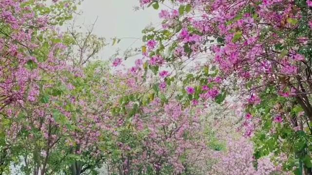 爱玩游戏的朋友快来看看吧！