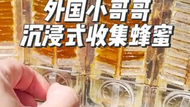 外国小哥哥沉浸式收集蜂蜜#沉浸式#解压#极度舒适#海外生活 #治愈