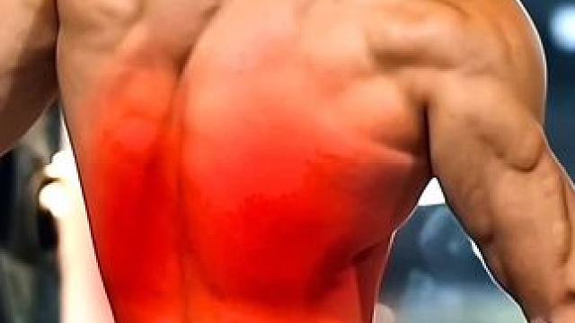 背部训练攻略——动作篇！ 背部训练没有最好的动作也没有最差的动作！健身小白必看背部训练攻略！#背部训