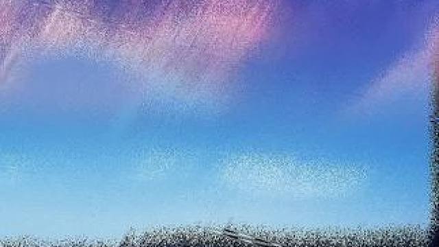 #河边走一走转一转 #散散步吹吹风透透气