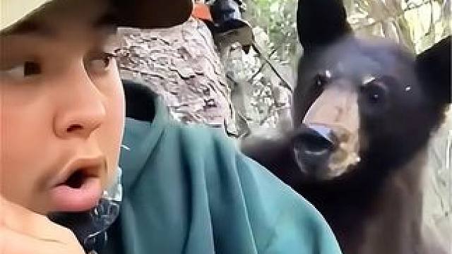 猎人差点成为黑熊的猎物，该如何破局 #原始技术 #纪录片解说 #荒野求生