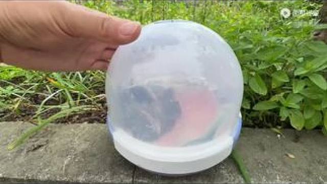 #人与自然和谐共处