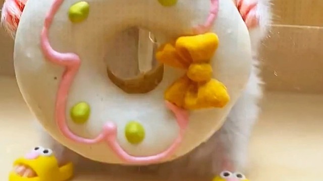 一只笨鼠沉浸式吃甜甜圈