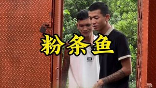 粉条鱼#新农人计划2024 #回村后的我 #农村生活