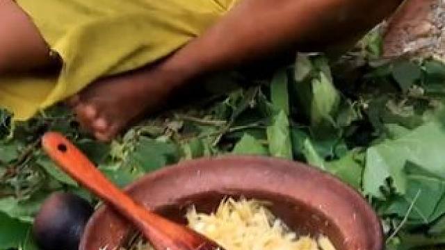 制作美味竹笋在森林里吃 #大自然的馈赠 #山野自然 #野生菌