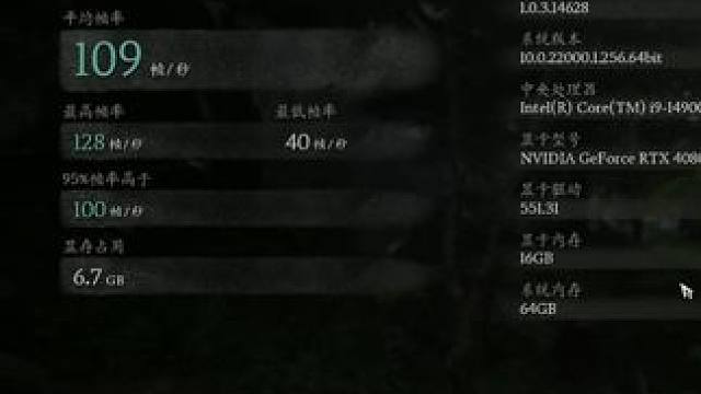 这光 这影 这4080S！ #东北大鹌鹑 #黑神话悟空 #4080super