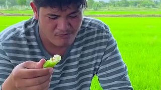 有人知道这是什么水果吗？ #酸野果子#野果#东南亚地包天 #东南亚八面佛 #原始美味