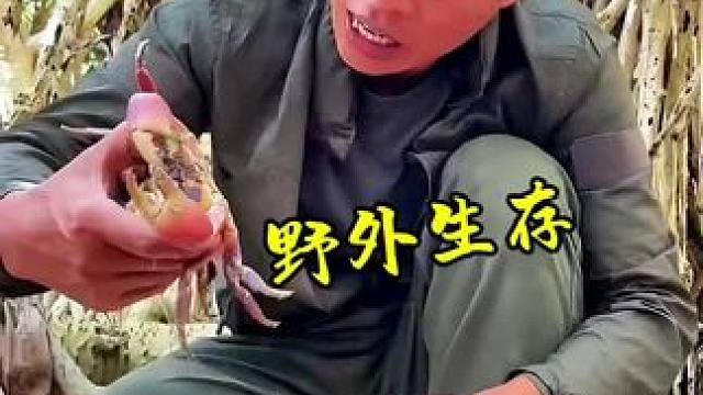 野外生存 合集体验#野外生存 #赶海 #户外 #户外美食 #探险
