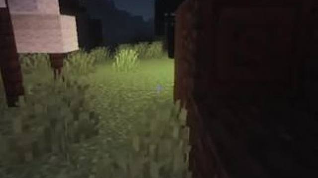 主页有我的世界手机版宝可梦 #我的世界