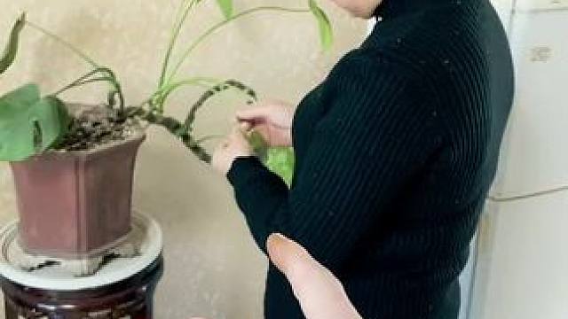 我发布了一个新视频，快来围观吧！