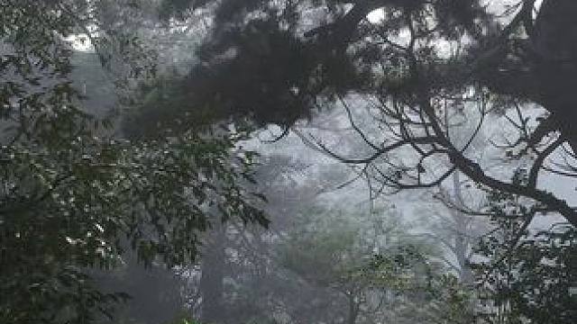 【虾米】黑神话悟空，帧生成，虾说+水视频 方块方舟在做了，大家别急，这期先纠正下上期的疏漏，方块方舟