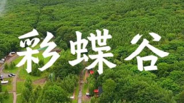 彩蝶谷露营基地一个藏在深山里的露营基地#黑龙江 #哈尔滨露营地推荐 #旅行推荐官 #亲子游玩好去处