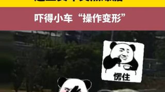 边上货车突然爆胎，吓得小车“操作变形” #浙江交警提醒 上高速前一定要检查车况，尤其是轮胎等易损件，