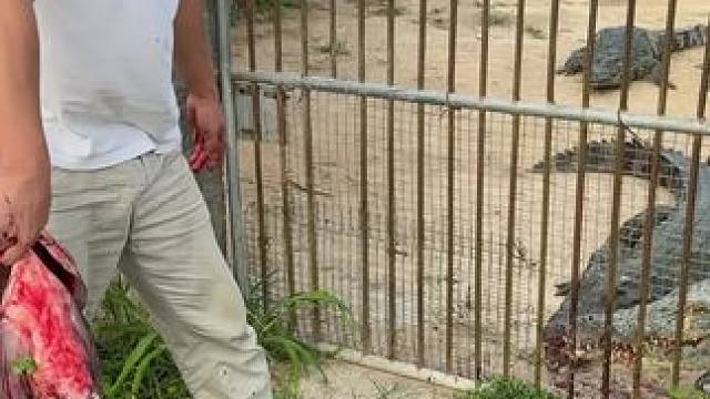 我发布了一个新视频，快来围观吧！