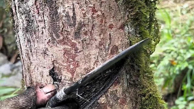 老漆，它的光泽是其它油漆代替不了的