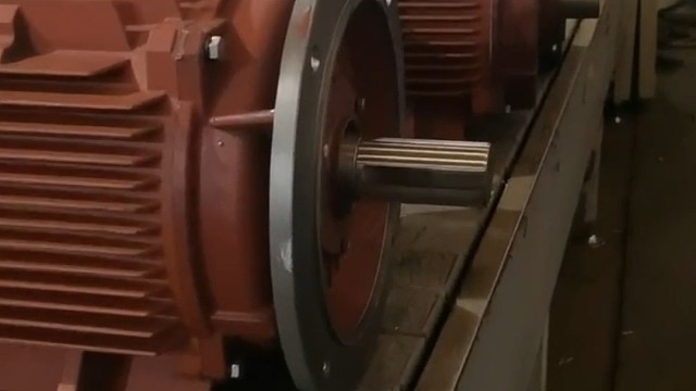 每个人都有自己的生活节奏，不要盲目自信，也不要急于求成。