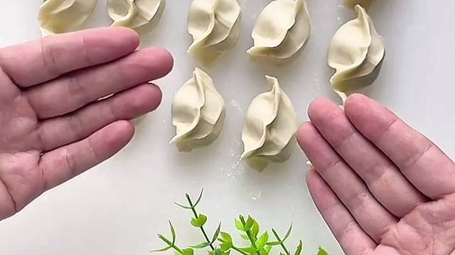 饺子的花样包法