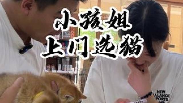 小孩姐和她的同学来买猫 现在的学生都这么有实力了吗？#壮实说猫 #金渐层