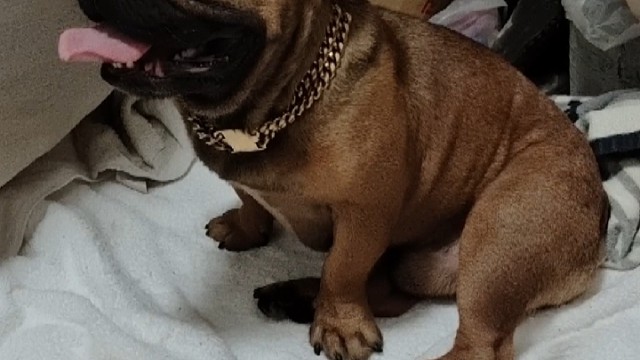 刚回家，打游戏的你